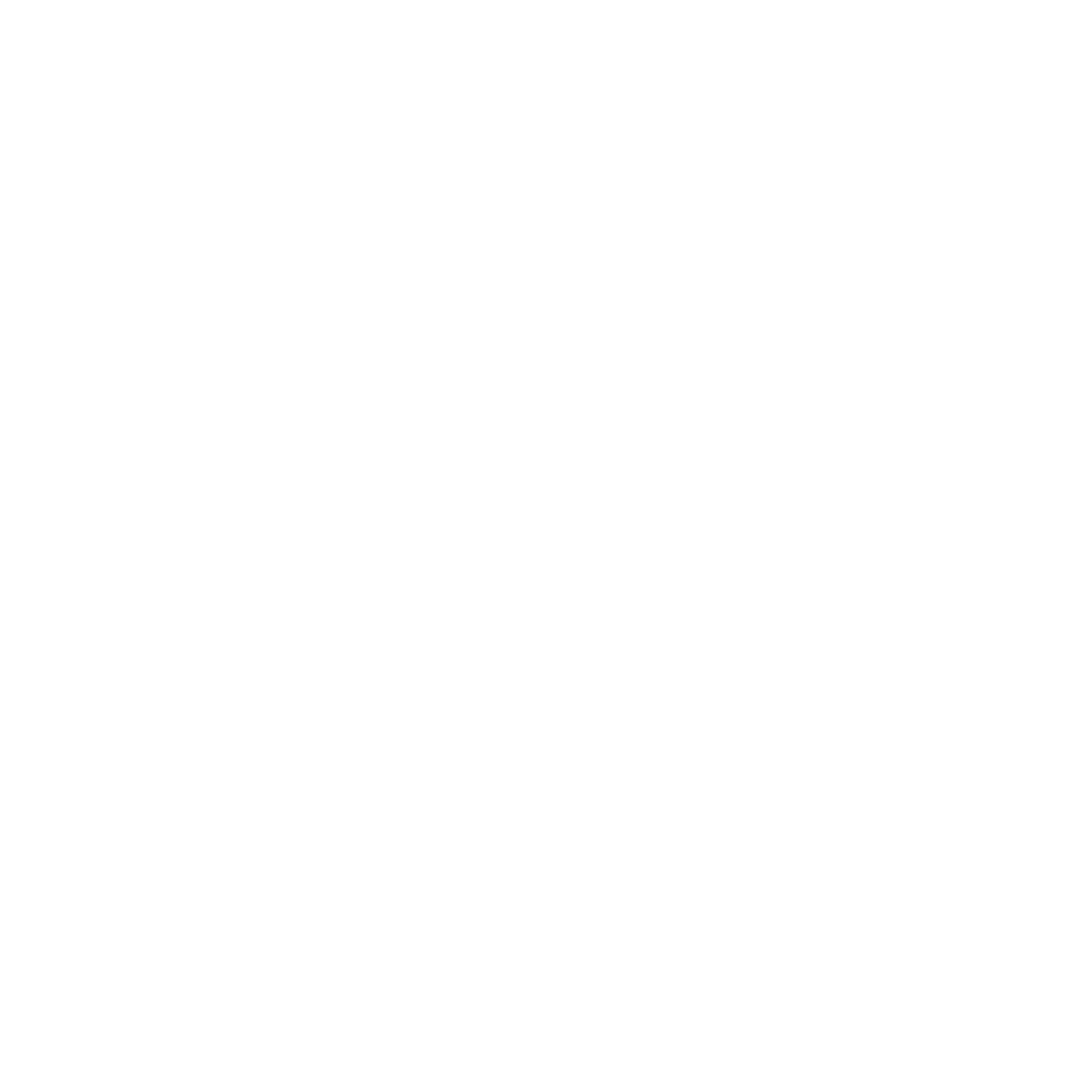 Stiftelsen Dam